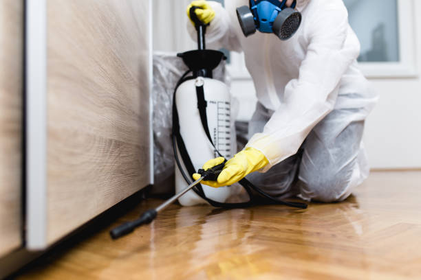 Best Pest Control Near Me  in Linden, AL