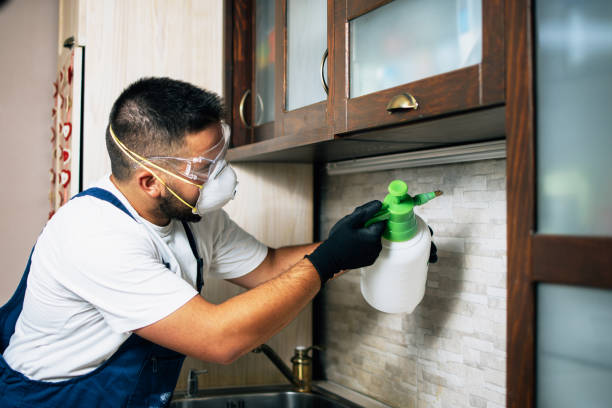 Trusted Linden, AL Pest Control Experts