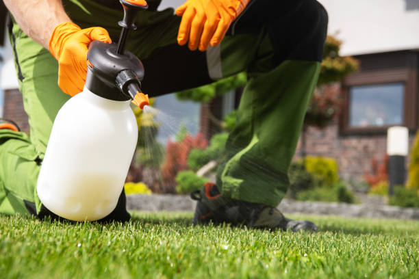 Best Affordable Pest Control Services  in Linden, AL