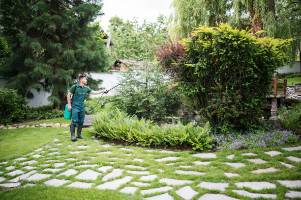 Best Residential Pest Control  in Linden, AL