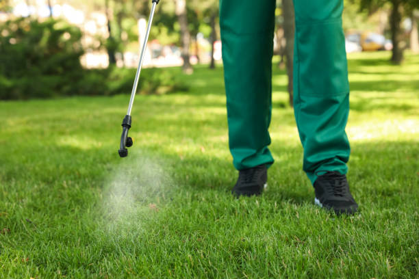 Best Local Pest Control Services  in Linden, AL