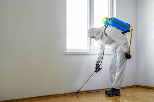 Best Pest Prevention Services  in Linden, AL