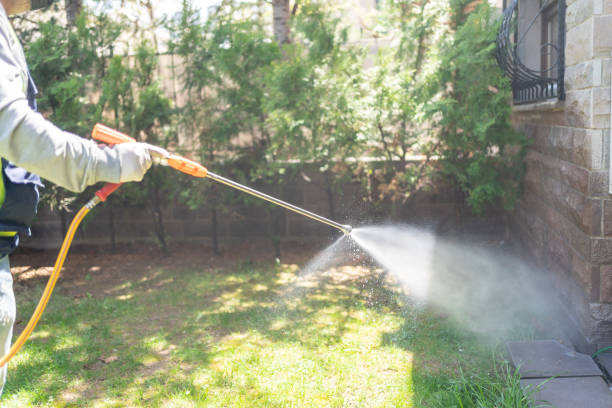 Best Local Pest Control Services  in Linden, AL