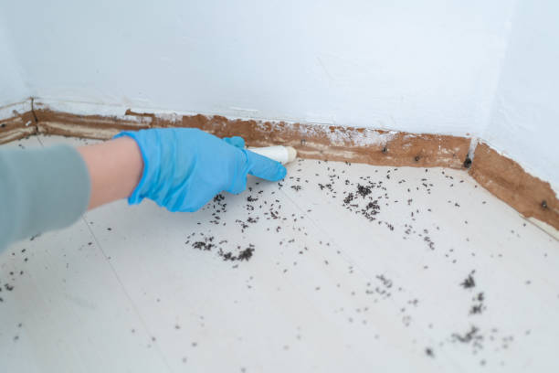  Linden, AL Pest Control Pros