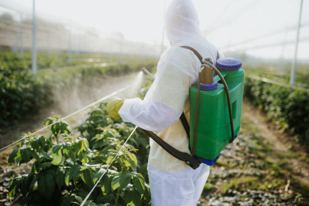 Best Best Pest Control Companies  in Linden, AL
